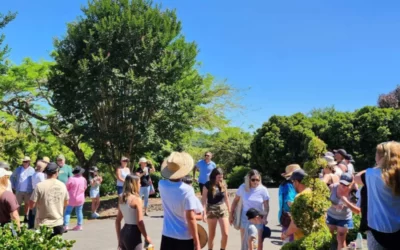 A ‘Day in the Life’ at Alpine Nurseries Alstonville